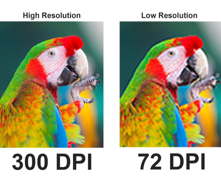 300 DPI versus 72 DPI, showing an image of a parrot using high resolution dots per inch versus low resolution and less dots per inch